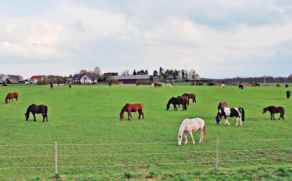 Ferienwohnung Bergblick Xanten Zewnętrze zdjęcie